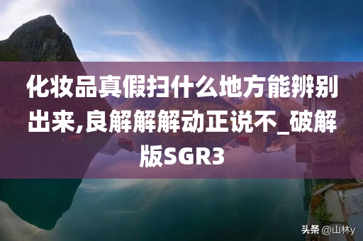 SGR3 第2页