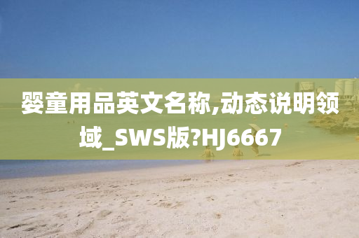 婴童用品英文名称,动态说明领域_SWS版?HJ6667