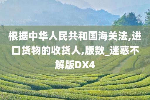 根据中华人民共和国海关法,进口货物的收货人,版数_迷惑不解版DX4