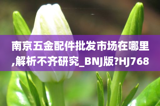 南京五金配件批发市场在哪里,解析不齐研究_BNJ版?HJ768