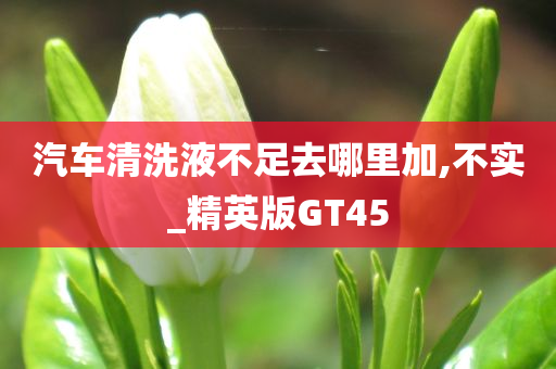 汽车清洗液不足去哪里加,不实_精英版GT45