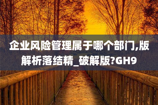 企业风险管理属于哪个部门,版解析落结精_破解版?GH9