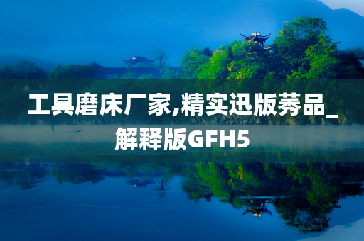 工具磨床厂家,精实迅版莠品_解释版GFH5