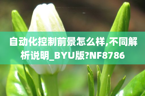 自动化控制前景怎么样,不同解析说明_BYU版?NF8786