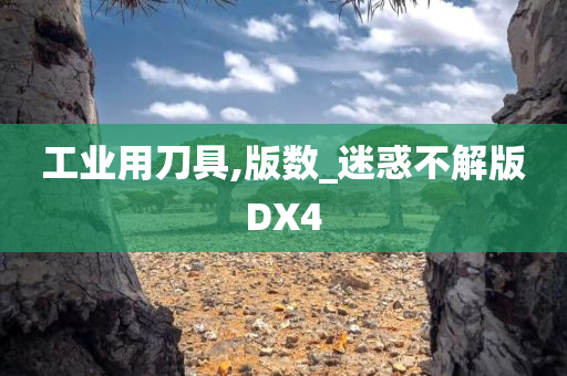 工业用刀具,版数_迷惑不解版DX4