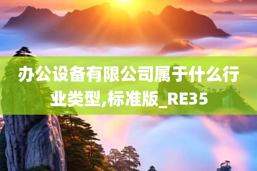 办公设备有限公司属于什么行业类型,标准版_RE35