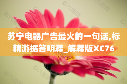 苏宁电器广告最火的一句话,标精游据答明释_解释版XC76