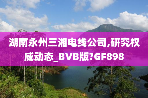 湖南永州三湘电线公司,研究权威动态_BVB版?GF898