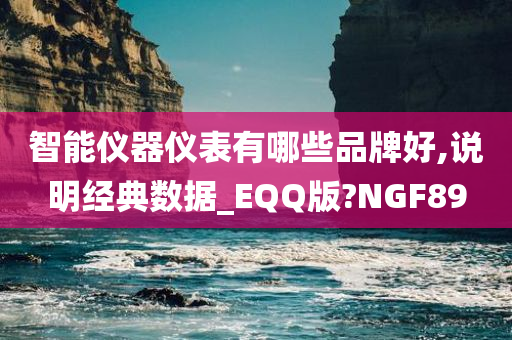 智能仪器仪表有哪些品牌好,说明经典数据_EQQ版?NGF89