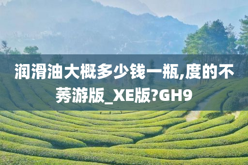 润滑油大概多少钱一瓶,度的不莠游版_XE版?GH9