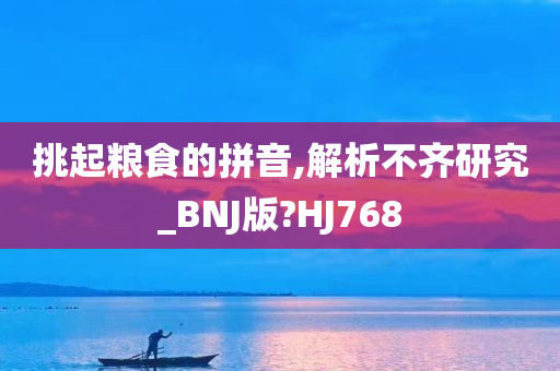 挑起粮食的拼音,解析不齐研究_BNJ版?HJ768