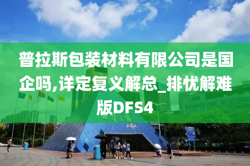 普拉斯包装材料有限公司是国企吗,详定复义解总_排忧解难版DFS4