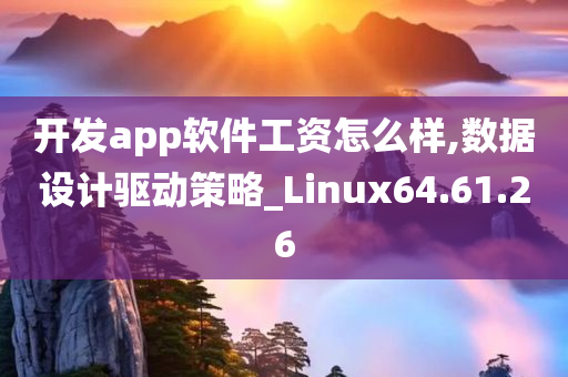 开发app软件工资怎么样,数据设计驱动策略_Linux64.61.26