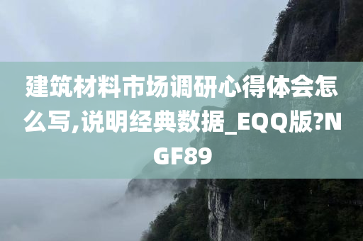 建筑材料市场调研心得体会怎么写,说明经典数据_EQQ版?NGF89