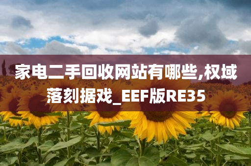 家电二手回收网站有哪些,权域落刻据戏_EEF版RE35