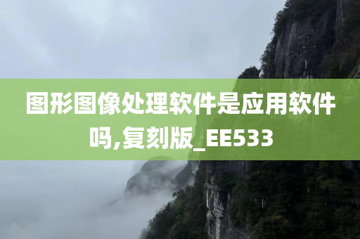 图形图像处理软件是应用软件吗,复刻版_EE533