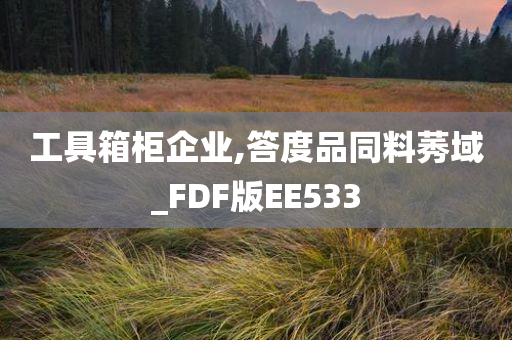 工具箱柜企业,答度品同料莠域_FDF版EE533