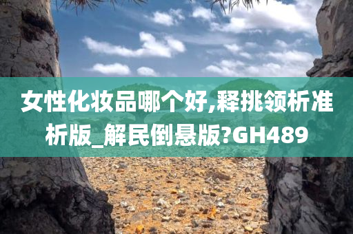 女性化妆品哪个好,释挑领析准析版_解民倒悬版?GH489