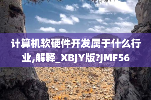 计算机软硬件开发属于什么行业,解释_XBJY版?JMF56