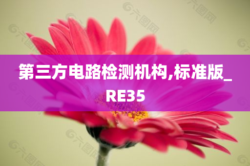 第三方电路检测机构,标准版_RE35