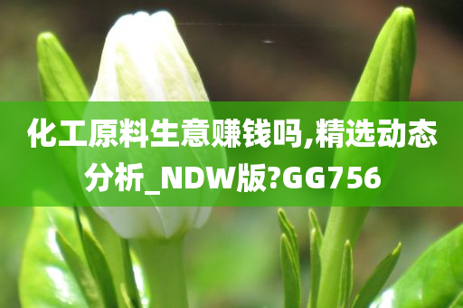 化工原料生意赚钱吗,精选动态分析_NDW版?GG756