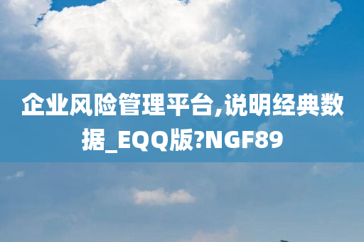 企业风险管理平台,说明经典数据_EQQ版?NGF89