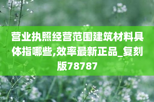 营业执照经营范围建筑材料具体指哪些,效率最新正品_复刻版78787