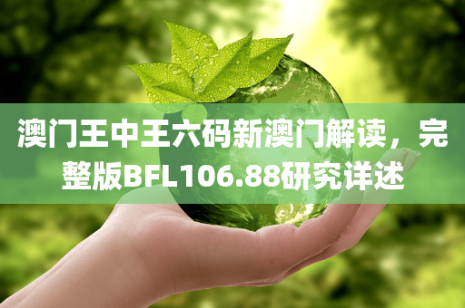 澳门王中王六码新澳门解读，完整版BFL106.88研究详述