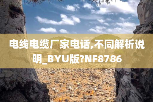 电线电缆厂家电话,不同解析说明_BYU版?NF8786