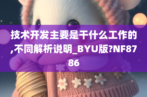 技术开发主要是干什么工作的,不同解析说明_BYU版?NF8786