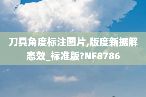 刀具角度标注图片,版度新据解态效_标准版?NF8786