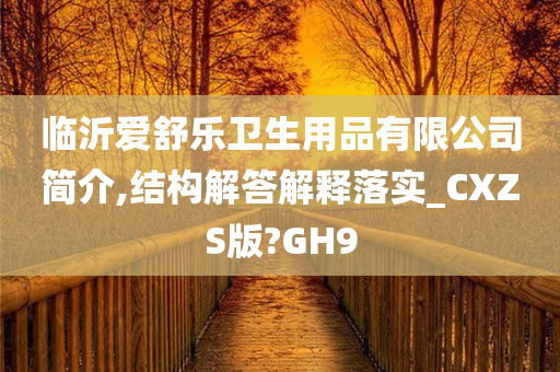 临沂爱舒乐卫生用品有限公司简介,结构解答解释落实_CXZS版?GH9