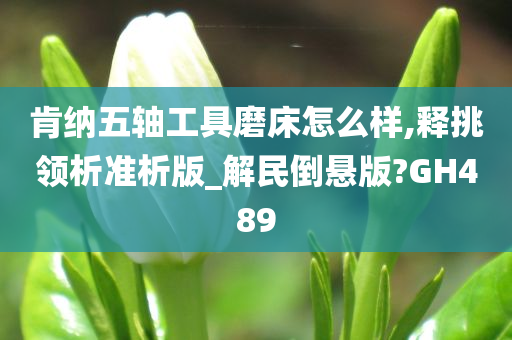 肯纳五轴工具磨床怎么样,释挑领析准析版_解民倒悬版?GH489