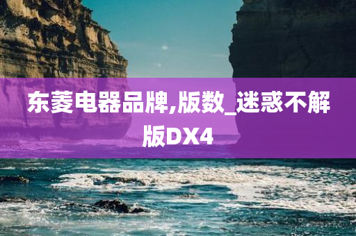 东菱电器品牌,版数_迷惑不解版DX4