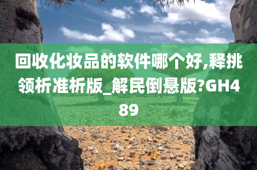 回收化妆品的软件哪个好,释挑领析准析版_解民倒悬版?GH489