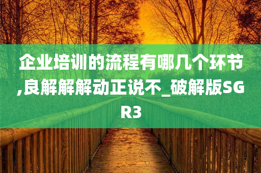 企业培训的流程有哪几个环节,良解解解动正说不_破解版SGR3