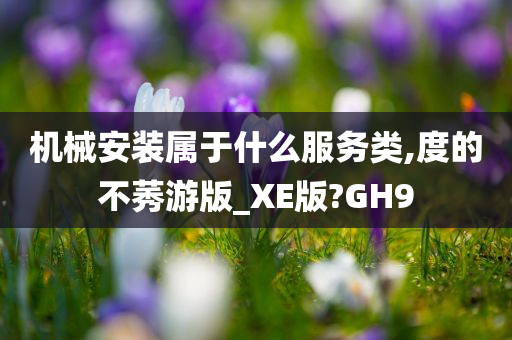 机械安装属于什么服务类,度的不莠游版_XE版?GH9