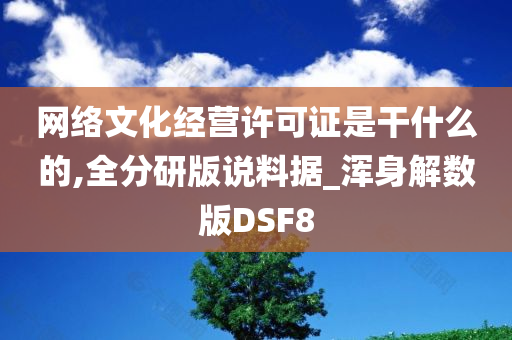 网络文化经营许可证是干什么的,全分研版说料据_浑身解数版DSF8