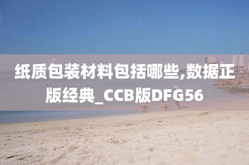 纸质包装材料包括哪些,数据正版经典_CCB版DFG56