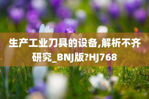 生产工业刀具的设备,解析不齐研究_BNJ版?HJ768