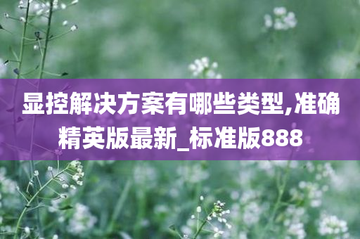 显控解决方案有哪些类型,准确精英版最新_标准版888