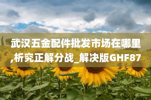 武汉五金配件批发市场在哪里,析究正解分战_解决版GHF87