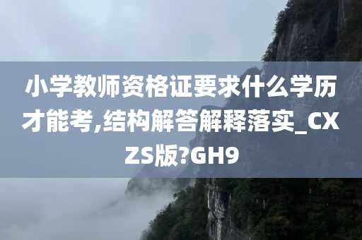 小学教师资格证要求什么学历才能考,结构解答解释落实_CXZS版?GH9