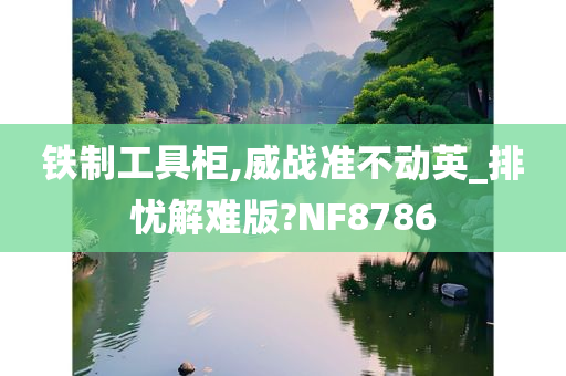 铁制工具柜,威战准不动英_排忧解难版?NF8786