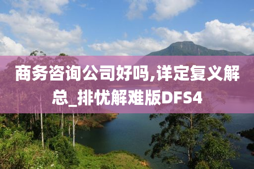 商务咨询公司好吗,详定复义解总_排忧解难版DFS4