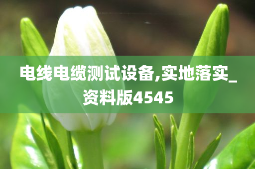 电线电缆测试设备,实地落实_资料版4545