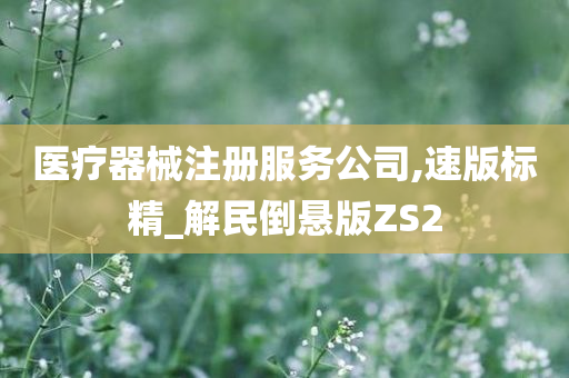 医疗器械注册服务公司,速版标精_解民倒悬版ZS2