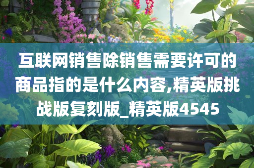 互联网销售除销售需要许可的商品指的是什么内容,精英版挑战版复刻版_精英版4545