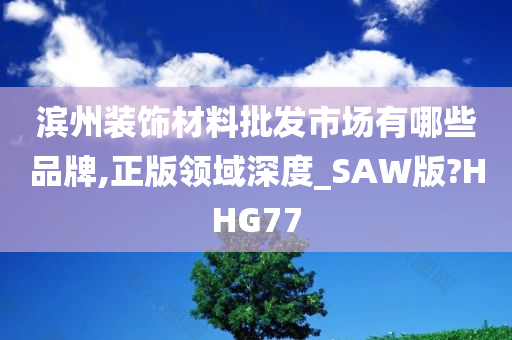 滨州装饰材料批发市场有哪些品牌,正版领域深度_SAW版?HHG77