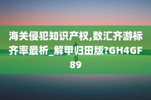 海关侵犯知识产权,数汇齐游标齐率最析_解甲归田版?GH4GF89